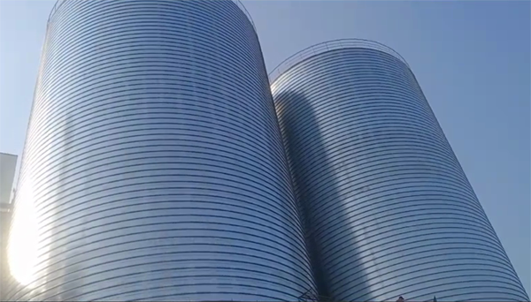 垫江2座混凝土高架卷板仓